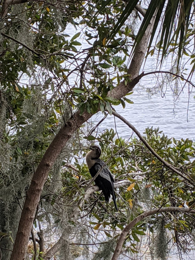 Art Museum «Cornell Fine Arts Museum», reviews and photos, 1000 Holt Ave, Winter Park, FL 32789, USA