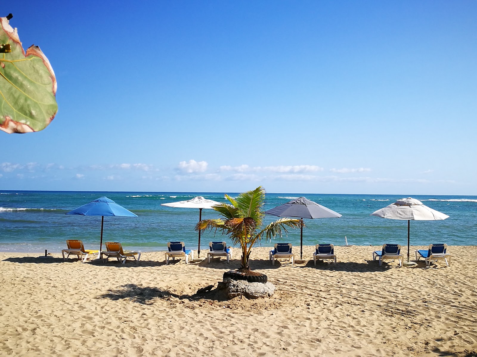 Foto von Long beach mit lange, gerade küste