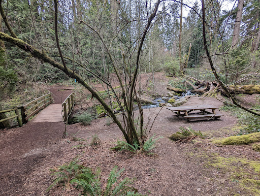Weowna Park Trail