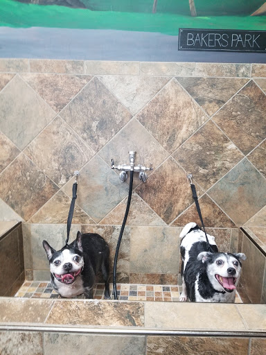 Pet Supply Store «Pet Valu», reviews and photos, 1305 West Seventh Street #28, Frederick, MD 21702, USA