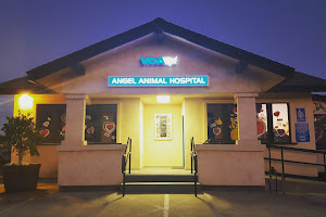 VCA Angel Animal Hospital