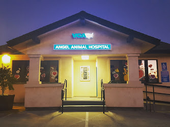 VCA Angel Animal Hospital