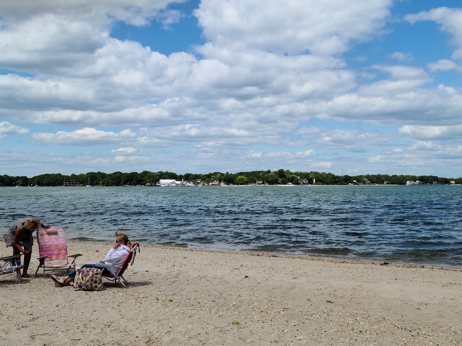 Foto de Goose Creek Beach con muy limpio nivel de limpieza