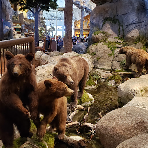 Sporting Goods Store «Bass Pro Shops», reviews and photos, 7777 Victoria Gardens Ln, Rancho Cucamonga, CA 91739, USA