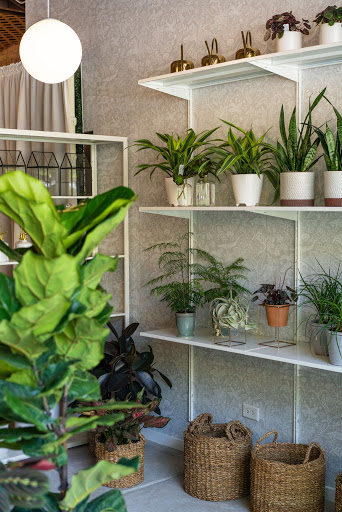 Florist «Pollen», reviews and photos, 2918 N Milwaukee Ave, Chicago, IL 60618, USA