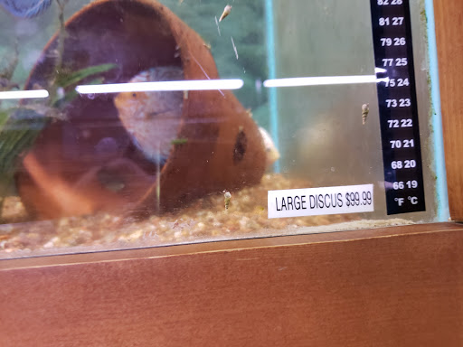 Pet Supply Store «Tropical World Pets», reviews and photos, 8444 Watson Rd, Webster Groves, MO 63119, USA