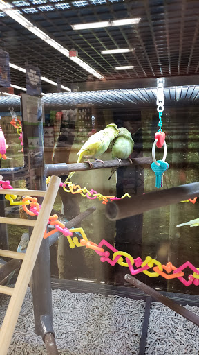 Pet Supply Store «Petco Animal Supplies», reviews and photos, 3495 Sports Arena Blvd, San Diego, CA 92110, USA