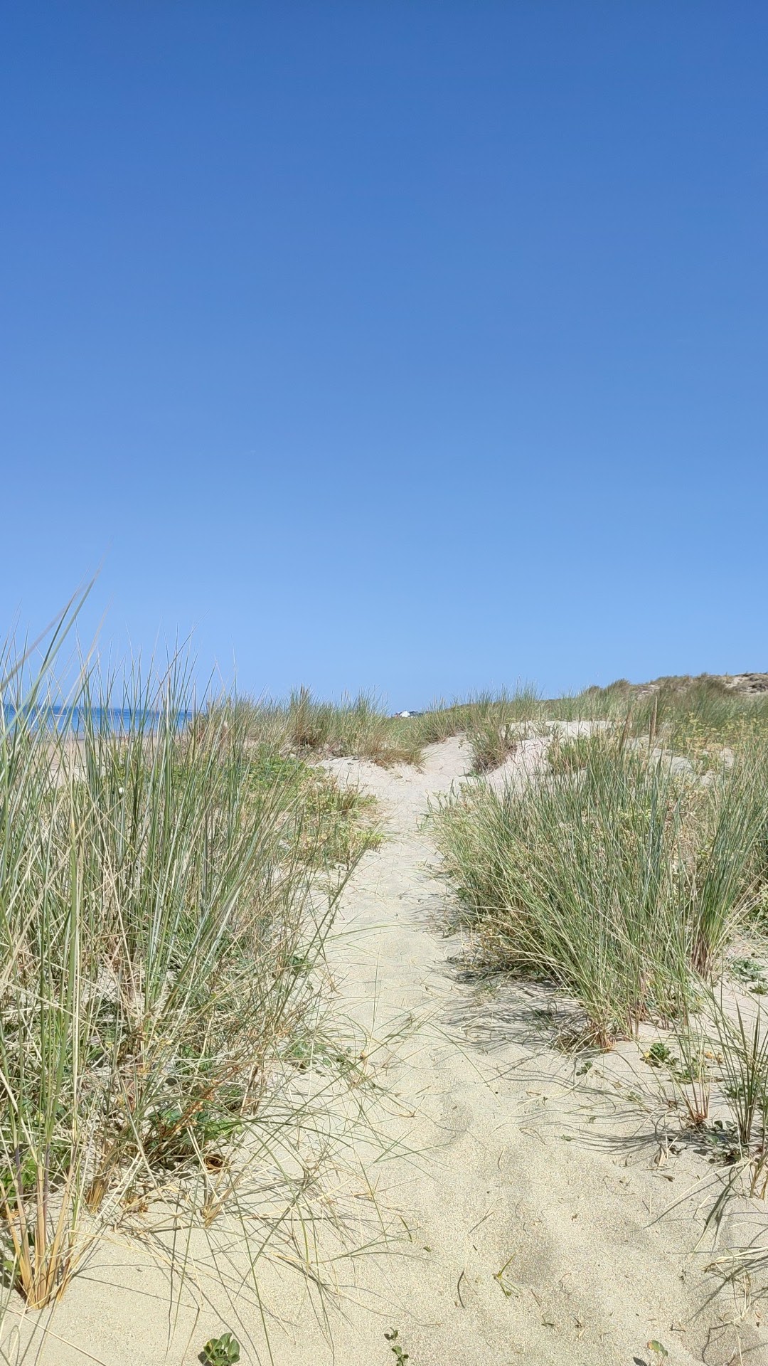 Photo n° 5 de l'avis de Bruno.l fait le 13/08/2022 à 16:51