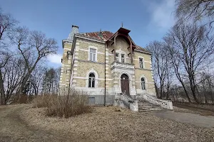 Vyžulionys Manor image