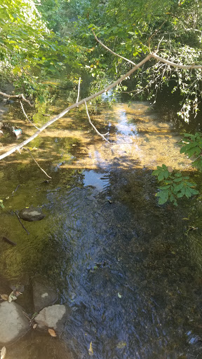 Park «Pinebrook Park», reviews and photos, 110 Ward Dr, New Rochelle, NY 10804, USA