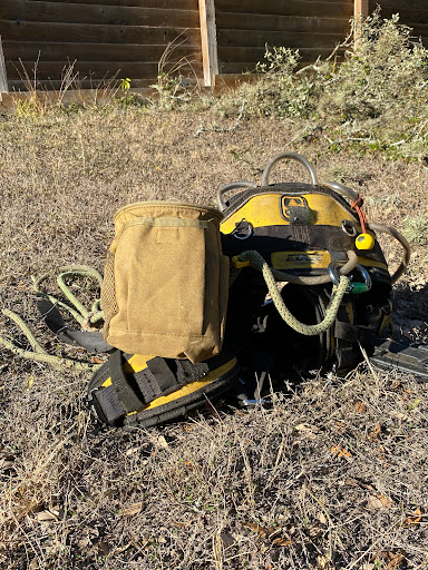 How To Get Rid Of Oak Tree Caterpillars 3