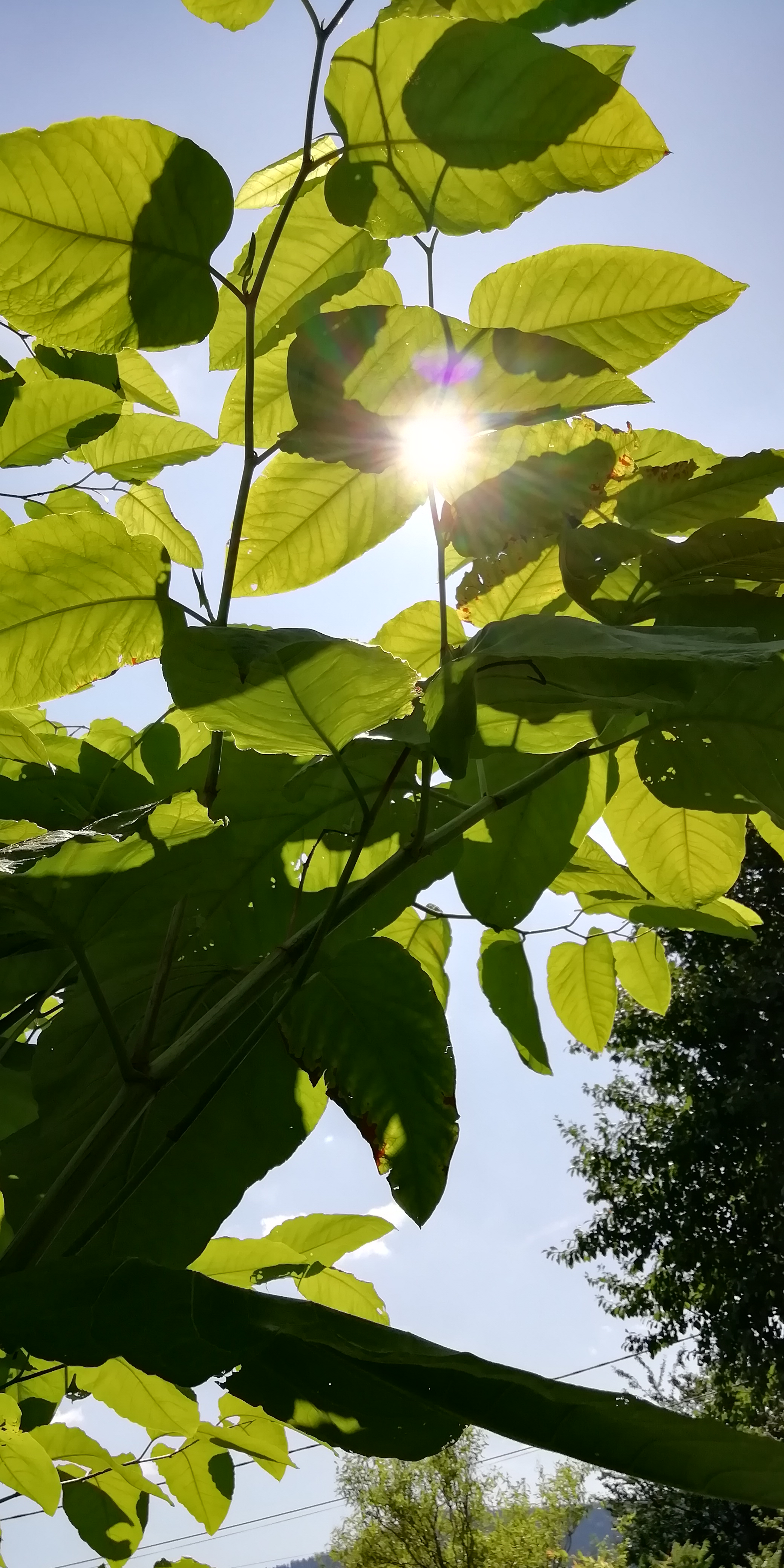 Photo n° 6 de l'avis de Timothée.u fait le 05/08/2019 à 06:45