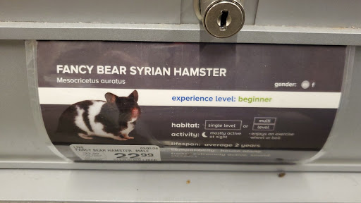 Pet Store «PetSmart», reviews and photos, 3152 Phoenix Center Dr, Washington, MO 63090, USA