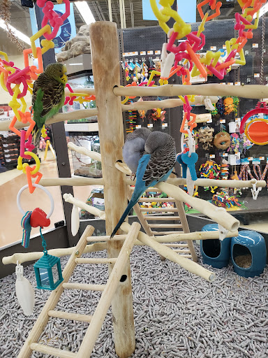 Pet Supply Store «Petco Animal Supplies», reviews and photos, 1412 S Main Chapel Way, Gambrills, MD 21054, USA