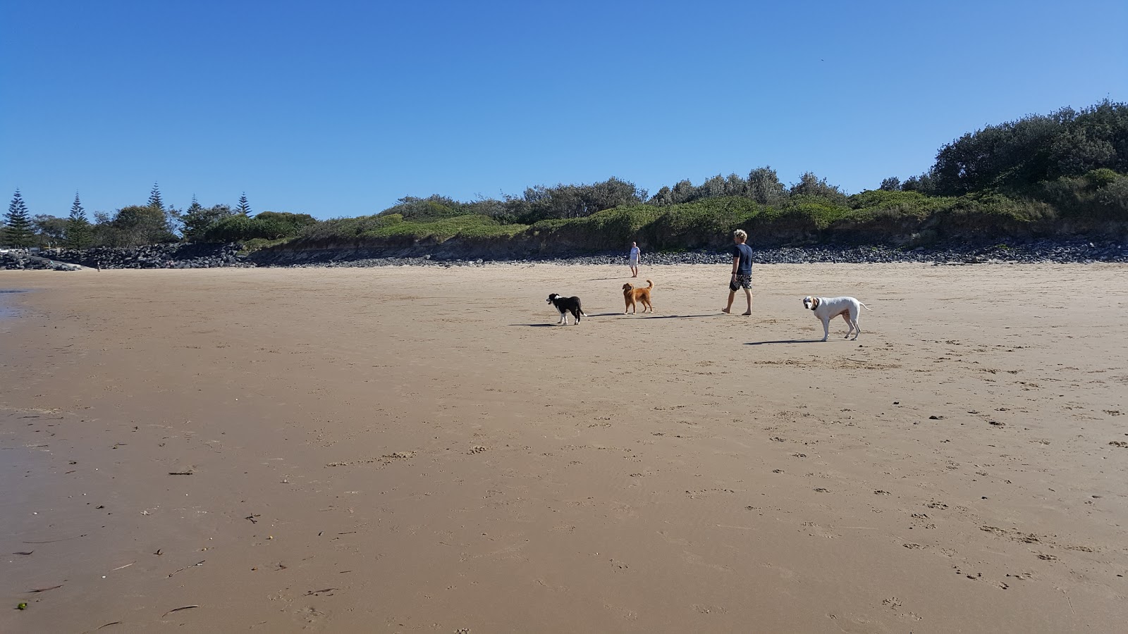 Foto van North Wall Beach - goede huisdiervriendelijke plek voor vakantie