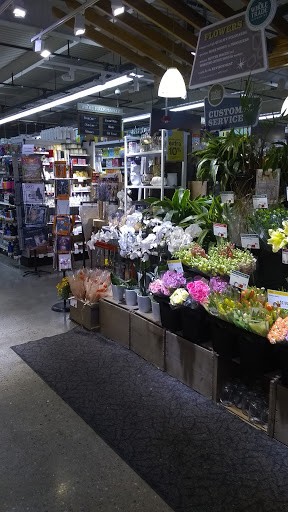Grocery Store «Whole Foods Market», reviews and photos, 413 Centre St, Jamaica Plain, MA 02130, USA