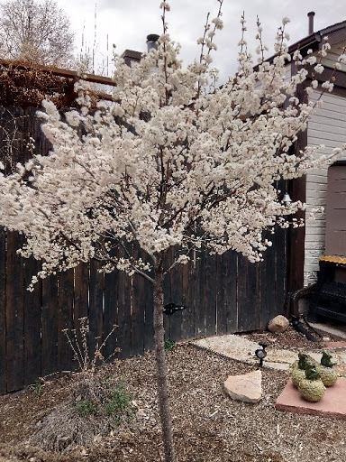 Pawn Shop «EZPAWN», reviews and photos, 7620 W Colfax Ave, Lakewood, CO 80214, USA