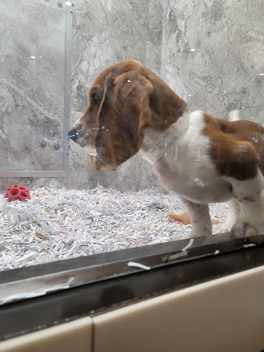 Pet Supply Store «Your Pet Experts», reviews and photos, 1665 State Hill Rd #490, Wyomissing, PA 19610, USA
