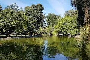 Lake Cișmigiu image