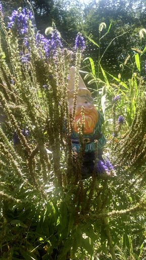 Golf Course «Mt. Lebanon Golf Course», reviews and photos, 1000 Pine Ave, Pittsburgh, PA 15234, USA