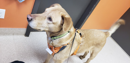 Big Thompson Animal Hospital