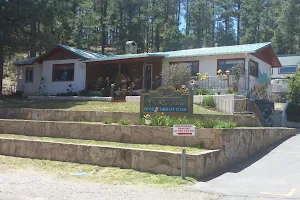 The Ruidoso Physical Therapy Clinic image