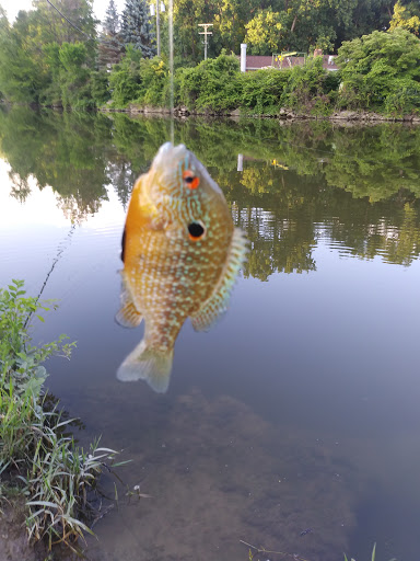 Park «Labo Park», reviews and photos, 22215 S Huron River Dr, Rockwood, MI 48173, USA