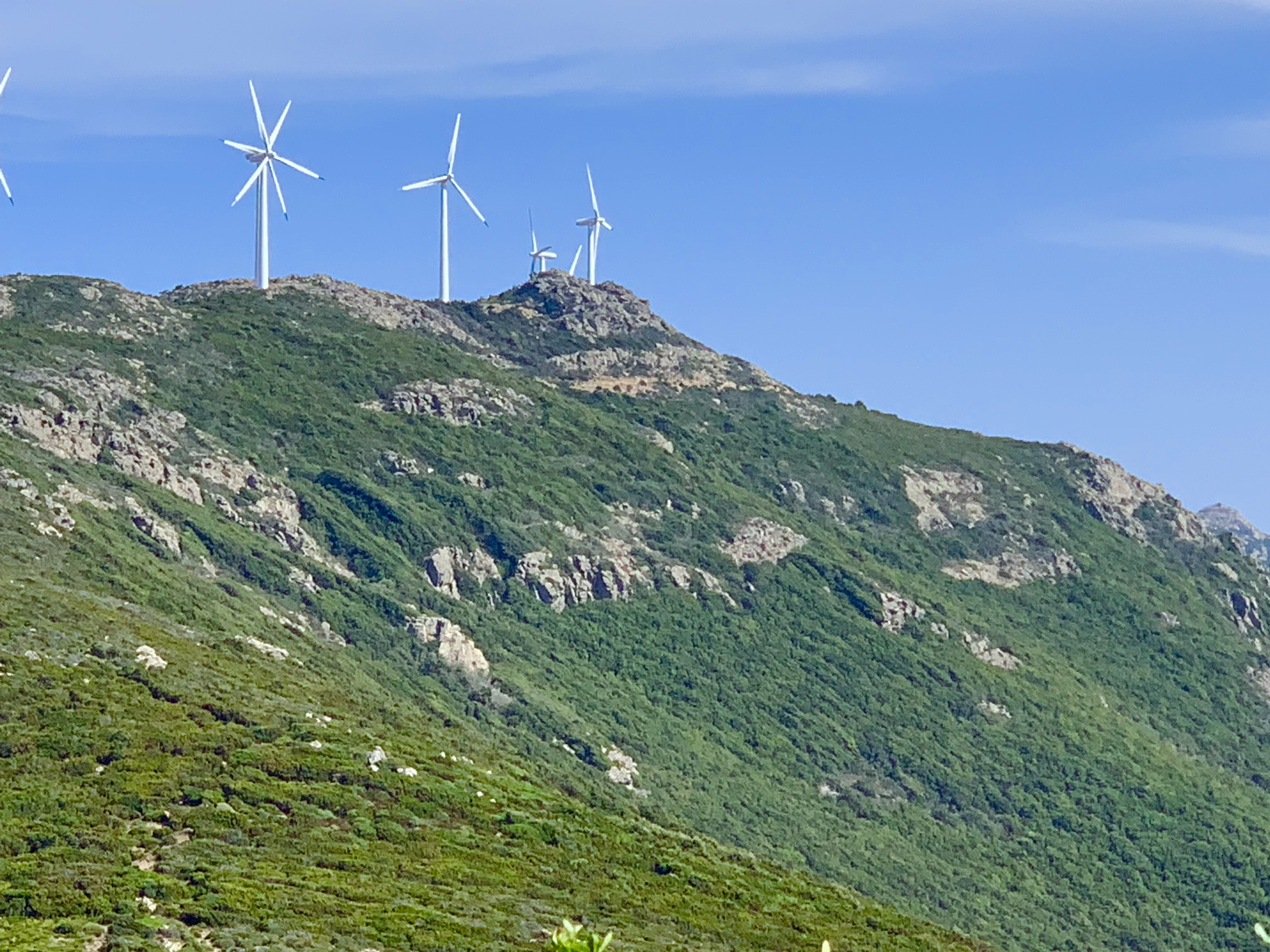 Photo n° 7 de l'avis de Brault.i fait le 11/09/2019 à 19:49
