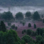 Photo n°8 de l'avis de Sebastian.a fait le 14/09/2021 à 16:36 sur le  Gasthaus Zum Heidemuseum, Wilsede à Bispingen