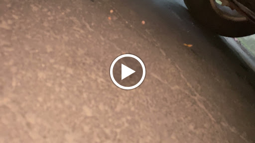 Used Car Dealer «Universal Auto Sales LLC», reviews and photos, 6421 Jefferson Davis Hwy, Spotsylvania, VA 22551, USA