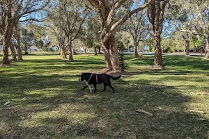Coochin Park Dog Off-Leash Reserve image