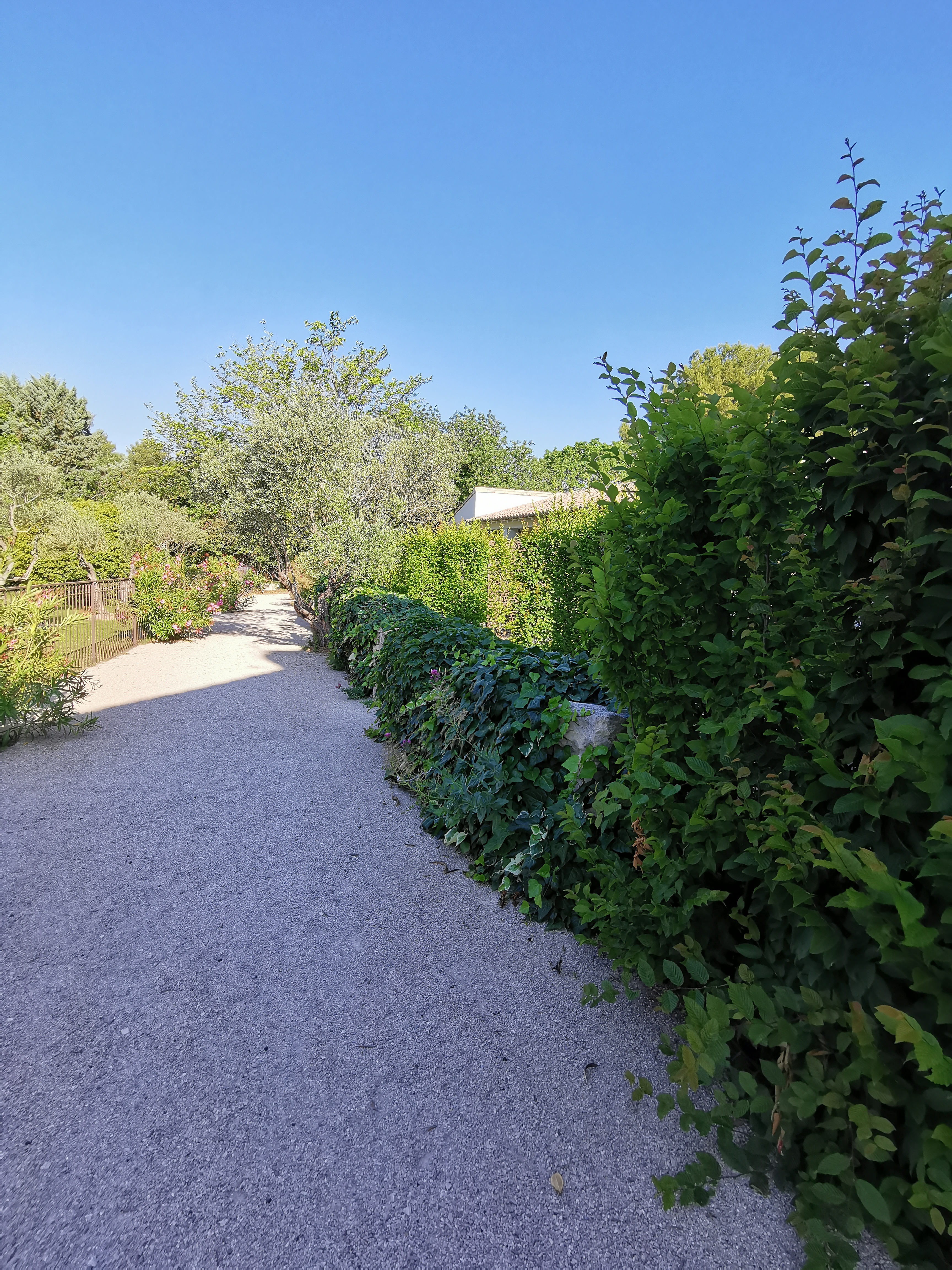 Photo n° 5 de l'avis de Alexandre.a fait le 14/06/2021 à 17:27