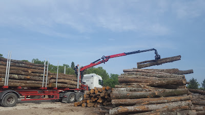 guidotti bois à Gallargues-le-Montueux