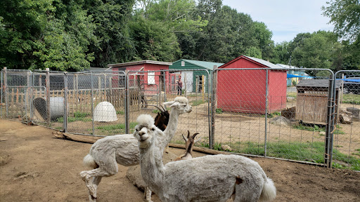 Animal Shelter «Animal Adventures Family Zoo & Rescue Center», reviews and photos, 336 Sugar Rd, Bolton, MA 01740, USA