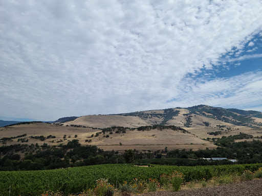 Winery «Irvine Vineyards», reviews and photos, 1614 Emigrant Creek Rd, Ashland, OR 97520, USA