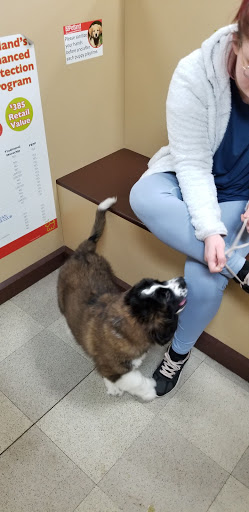 Pet Store «Petland», reviews and photos, 977 E State St, Athens, OH 45701, USA