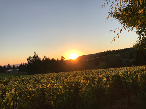 Vineyard «Archer Vineyard, Winery & Tasting Room», reviews and photos, 32230 NE Old Parrett Mountain Rd, Newberg, OR 97132, USA