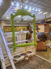 PetSmart - Photo 7 - Car repair in Morrow, GA, South Fulton