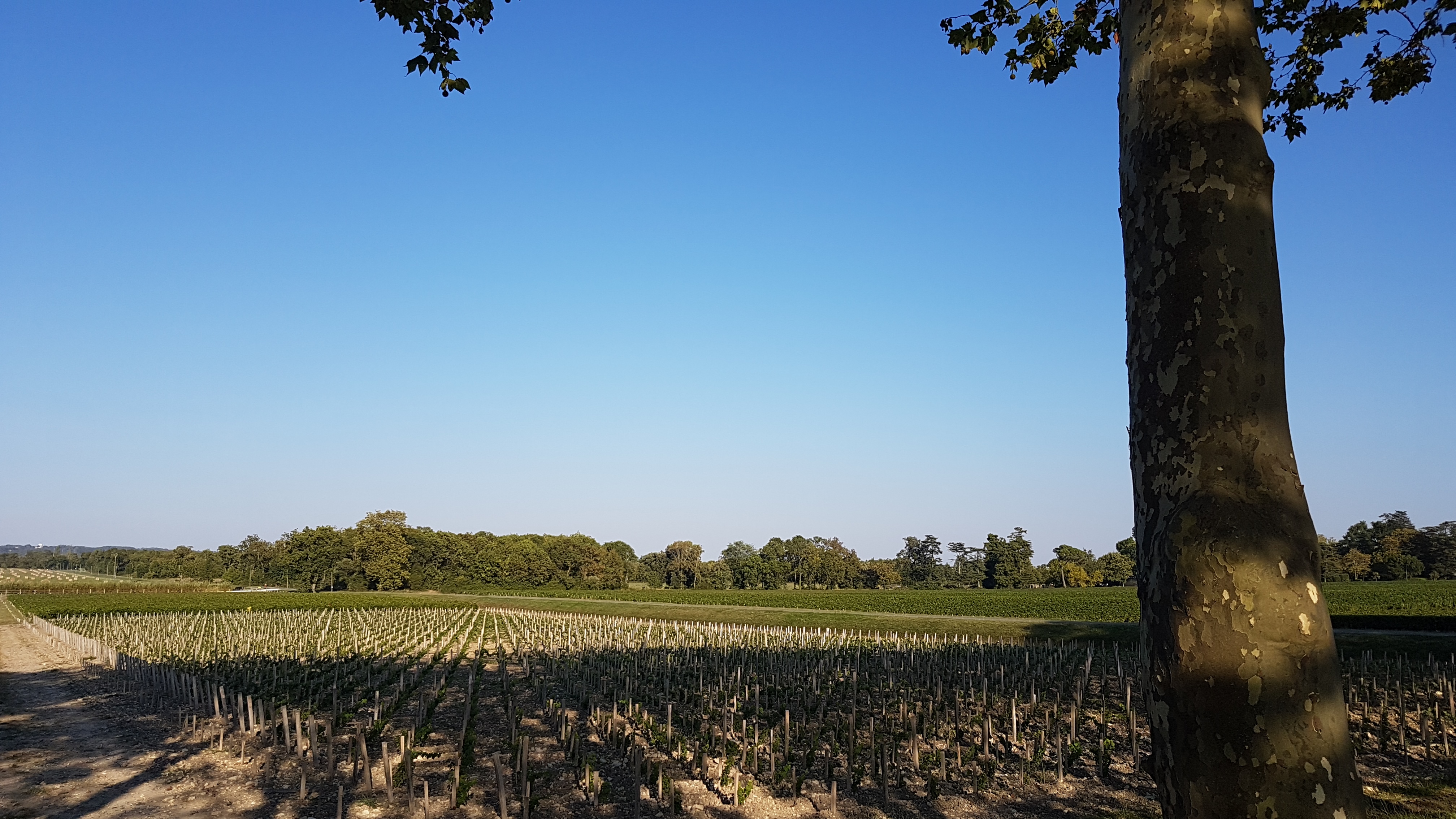 Photo n° 16 de l'avis de Gui.9 fait le 25/08/2019 à 06:23