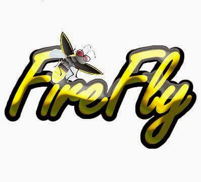 FireFly Professional Computer Solutions