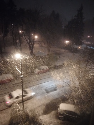 Comentarii opinii despre Multi-Trans