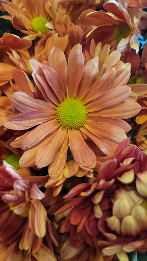 Supermarket «Giant Eagle Supermarket», reviews and photos, 5461 New Albany Rd W, New Albany, OH 43054, USA