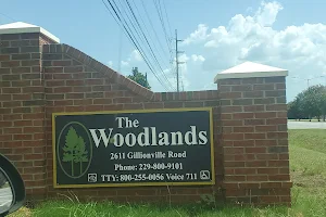 Woodlands Apartments image