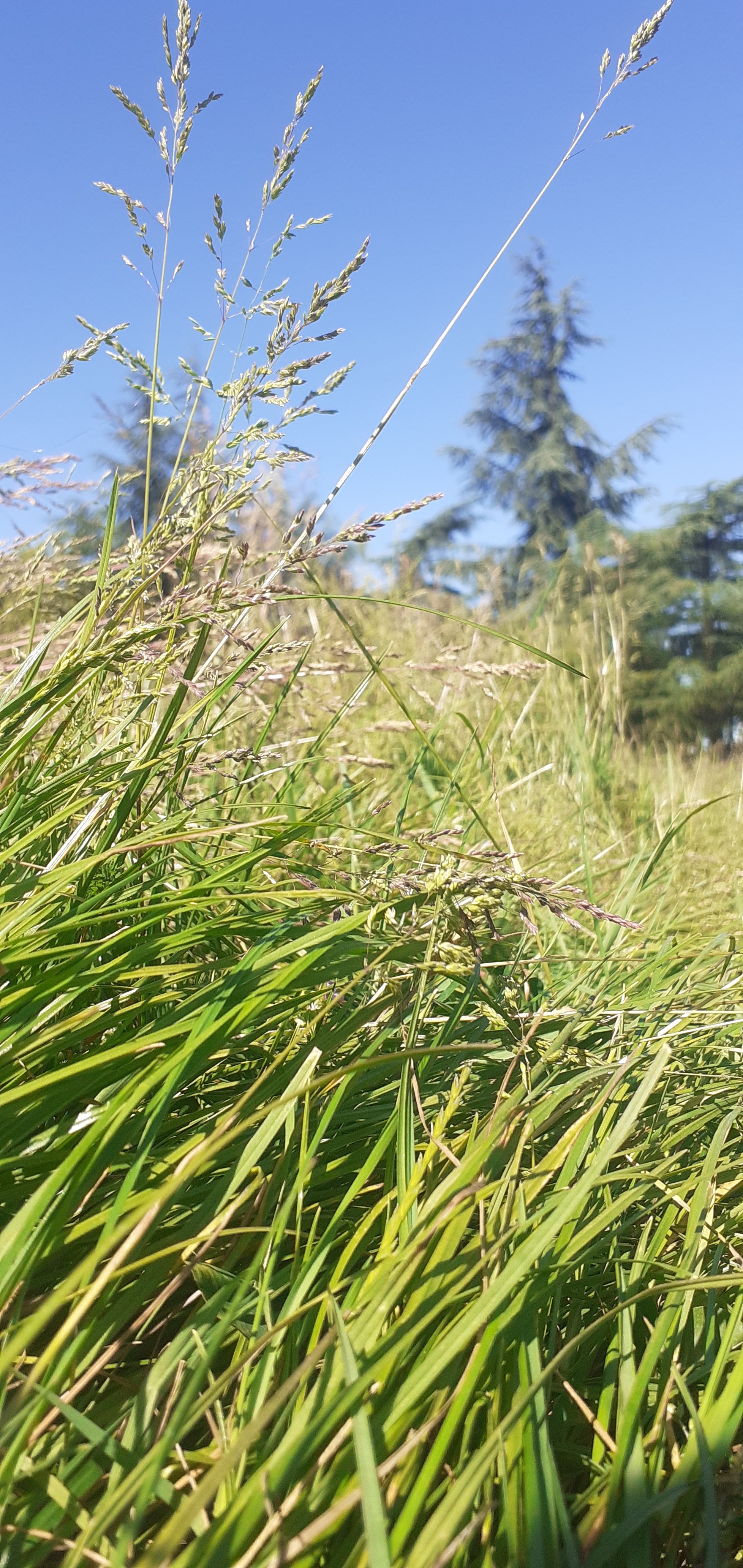 Photo n° 1 de l'avis de KRYSHTAL.A fait le 01/07/2017 à 06:16