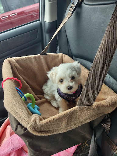 Pet Supply Store «PetSmart», reviews and photos, 620 N West End Blvd, Quakertown, PA 18951, USA