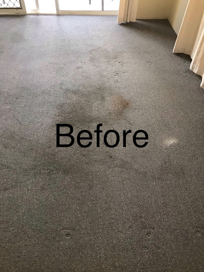 Surfers Paradise Carpet Cleaning