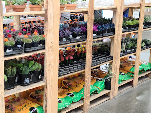 Home Improvement Store «The Home Depot», reviews and photos, 1303 Rivery Blvd, Georgetown, TX 78626, USA