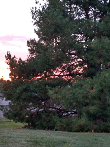 Park «Vanderbilt Park», reviews and photos, 855 S Platte River Dr, Denver, CO 80223, USA