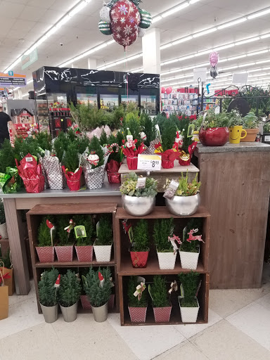 Supermarket «Lucky», reviews and photos, 3705 El Camino Real, Santa Clara, CA 95051, USA