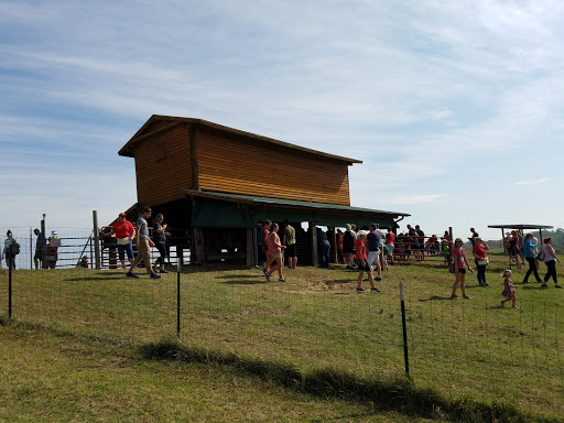 Boutique «Alpacas of the Heartland LLC», reviews and photos, 7016 County Rd 39, Fort Calhoun, NE 68023, USA